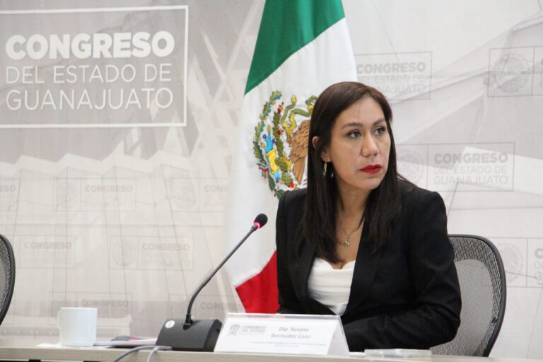 Dip Susana Bermúdez