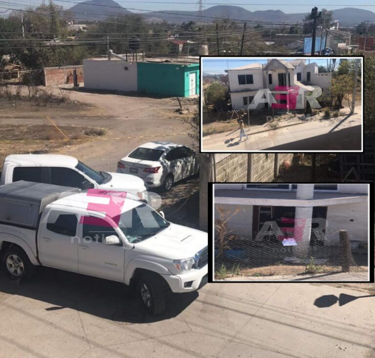 Picsart_22-02-02_13-12-18-098