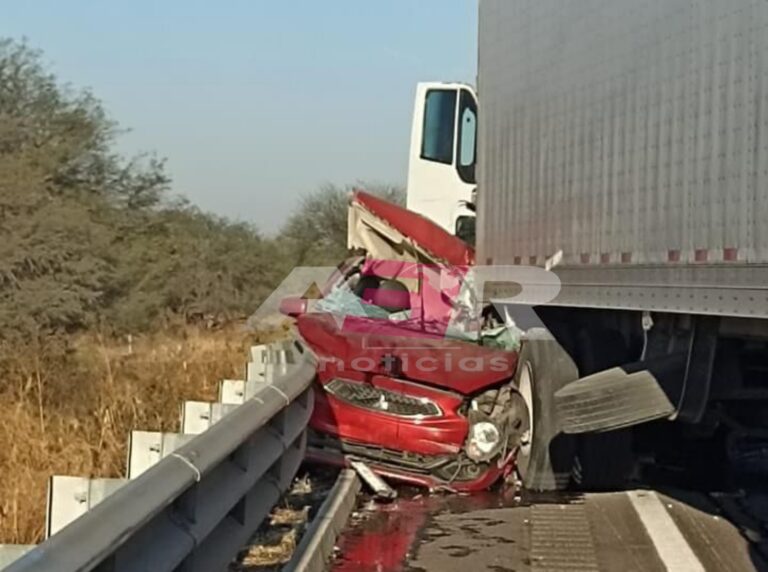 Picsart_22-02-10_12-02-36-103