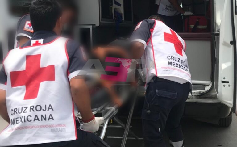 Picsart_22-02-10_13-16-38-304