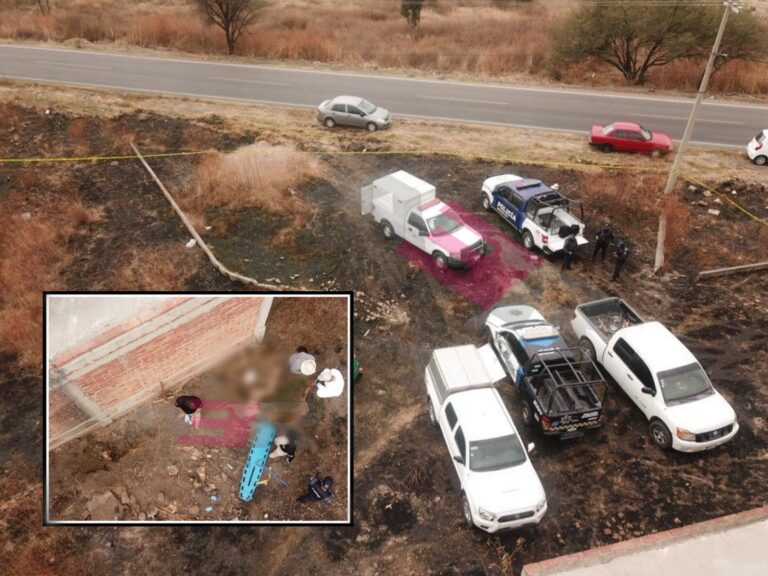 Picsart_22-02-12_15-48-47-452