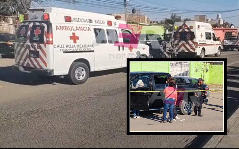 Picsart_22-02-18_20-20-32-187