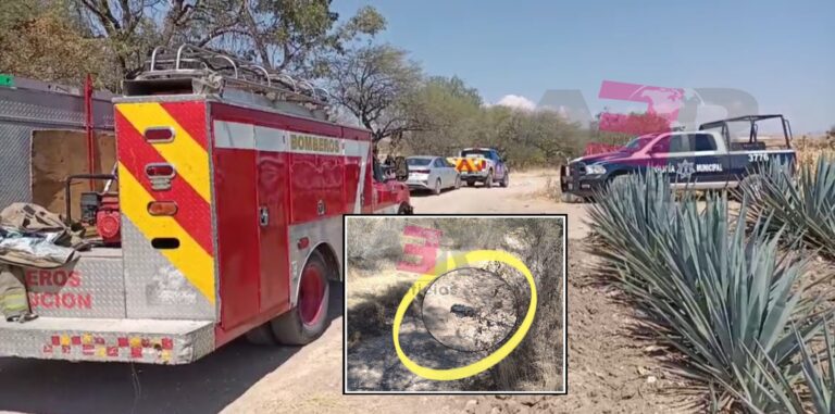 Picsart_22-02-21_14-14-26-001