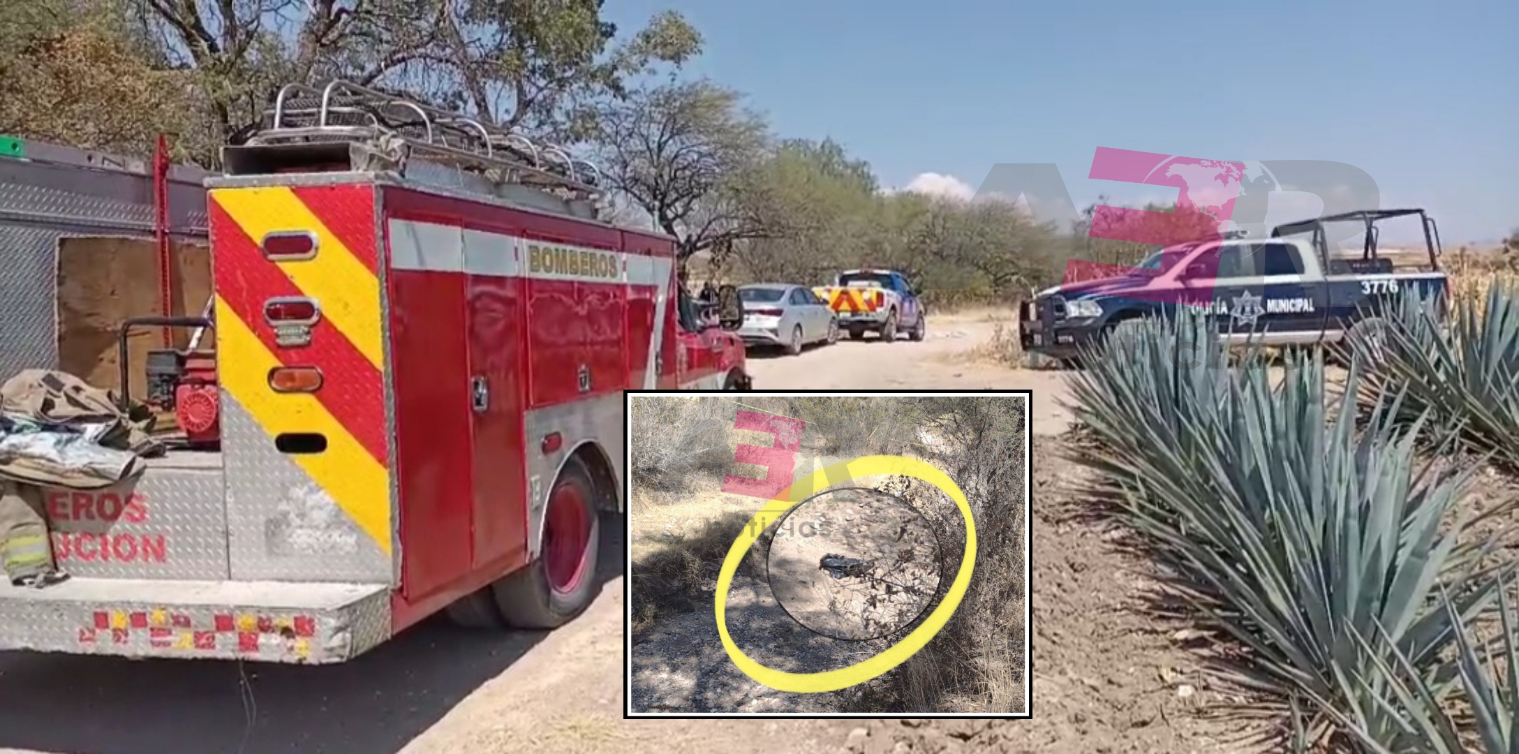 Picsart_22-02-21_14-14-26-001