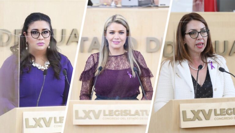 Diputadas Katya Soto, Noemí Márquez y Martha Hernández