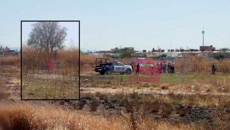 Picsart_22-03-08_16-01-07-578