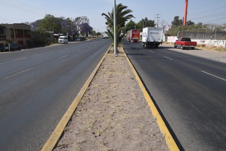 Bulevar Solidaridad (3)