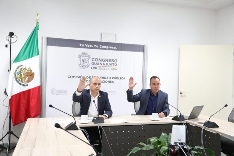Comisión de Seguridad 1