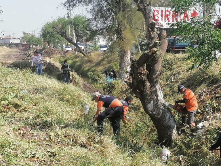 Labores preventivas (2)