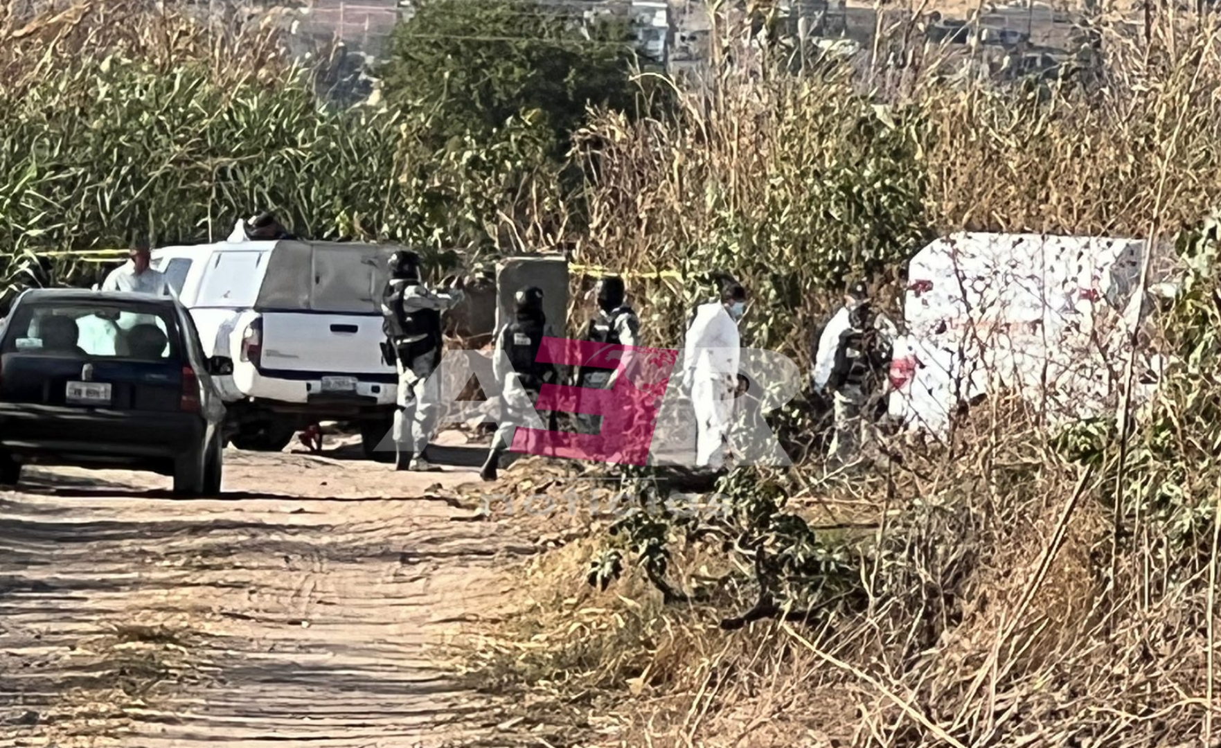 Picsart_22-04-05_18-21-02-692