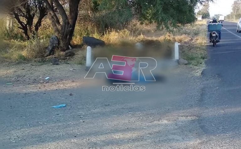 Picsart_22-05-06_12-15-53-698