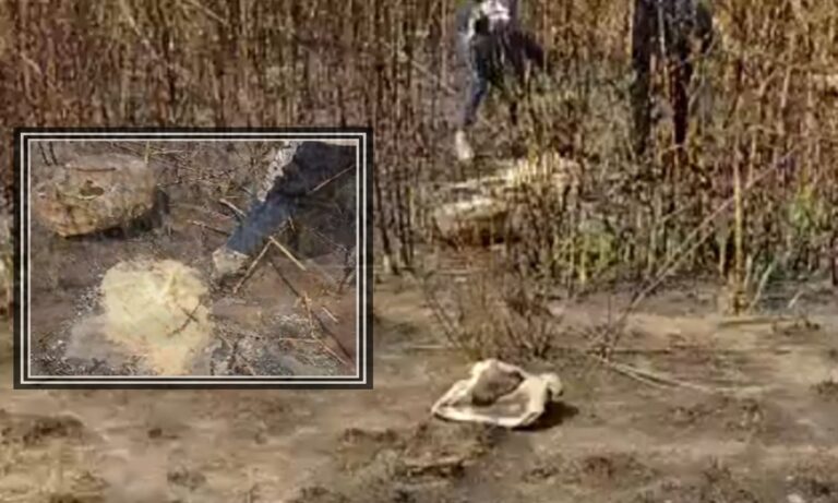 Picsart_22-05-23_18-46-43-110