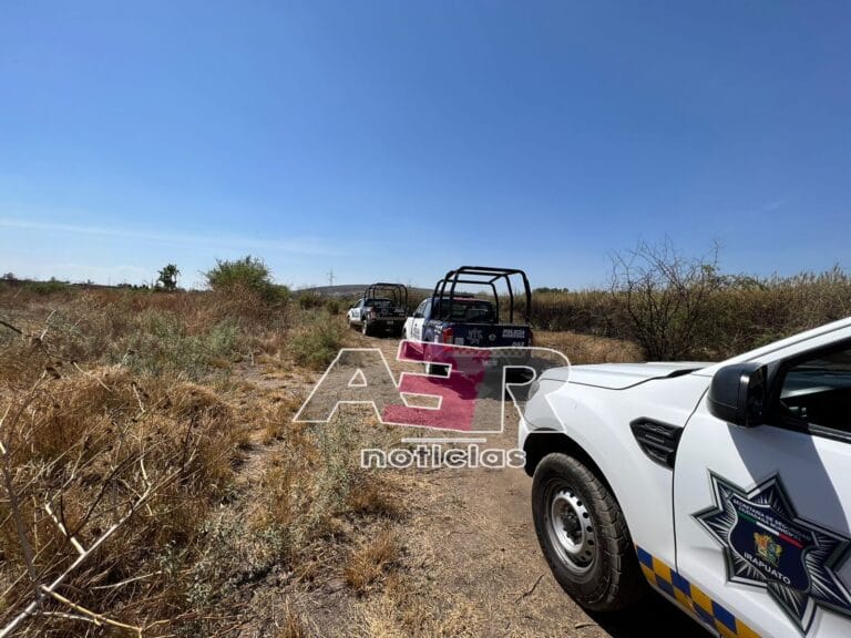 Picsart_22-05-29_13-33-18-682