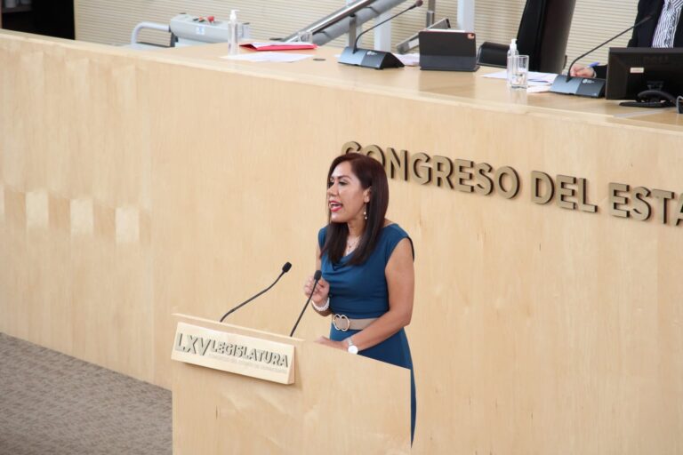 Dip Susana Bermúdez