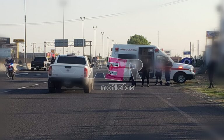 Picsart_22-06-07_20-48-58-087