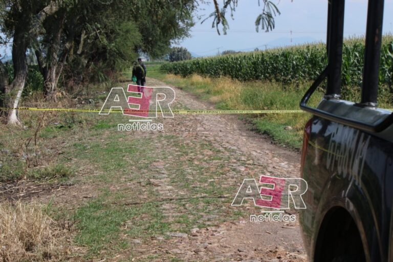 Picsart_22-07-14_19-16-57-381