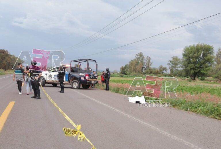 Picsart_22-07-17_20-21-54-504