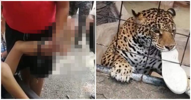 Picsart_22-07-23_20-37-55-610