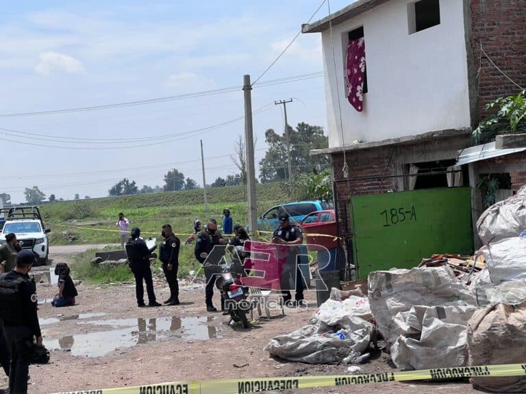 Picsart_22-07-28_13-26-15-618