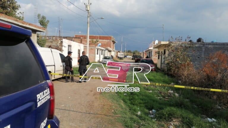 Picsart_22-07-28_19-19-08-147