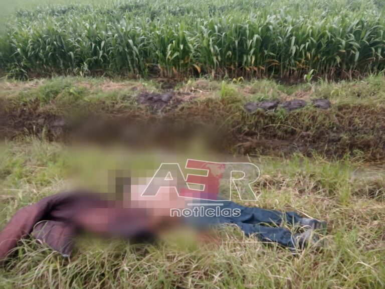 Picsart_22-07-30_16-19-21-726