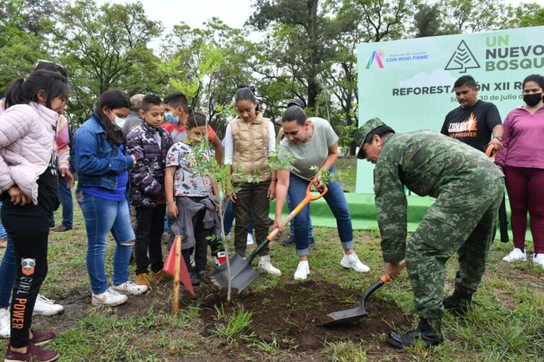 Plantación de Árboles (4)