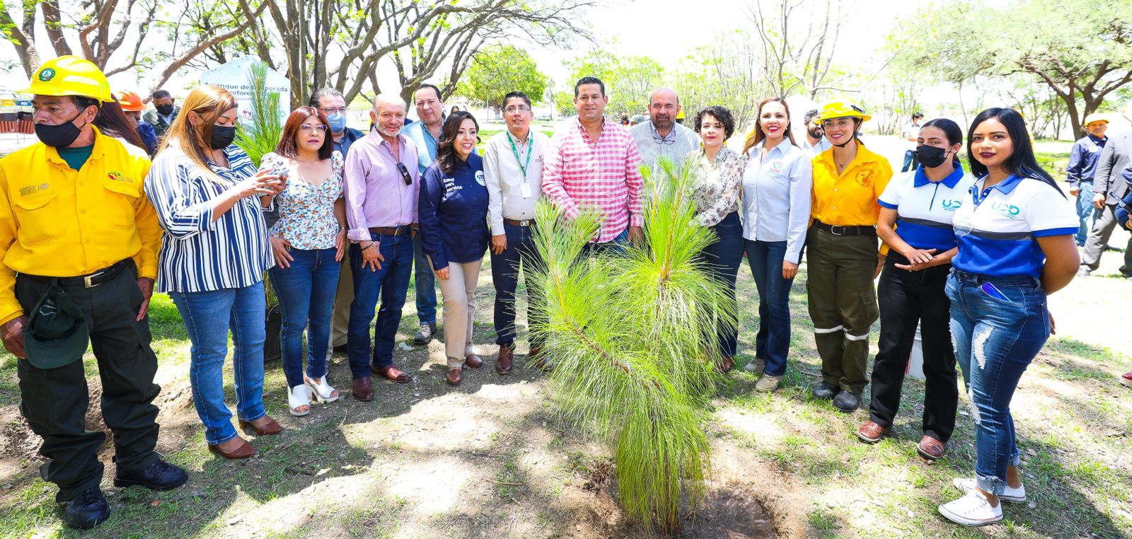 Arranca Gobernador temporada de reforestación en Guanajuato 1