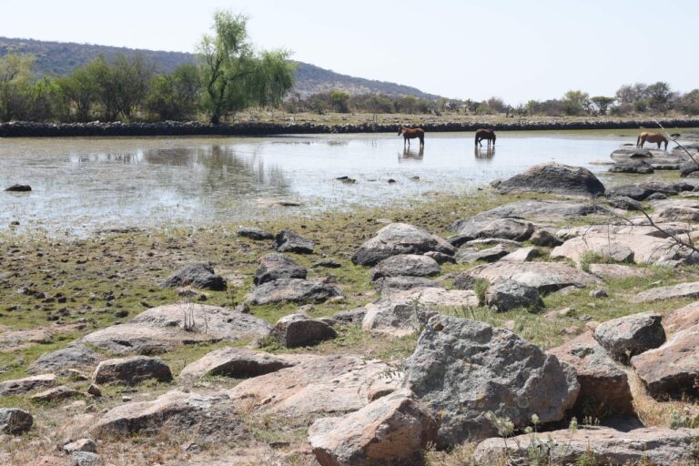 Área Natural Protegida Los Encinos (5)