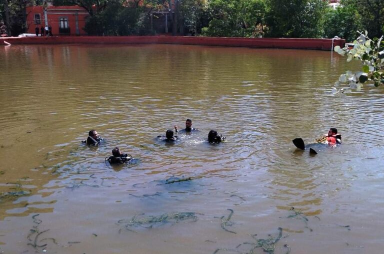 FB_IMG_1659385013307