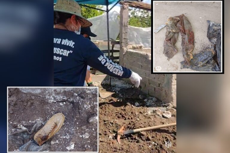 Picsart_22-08-01_20-29-39-305