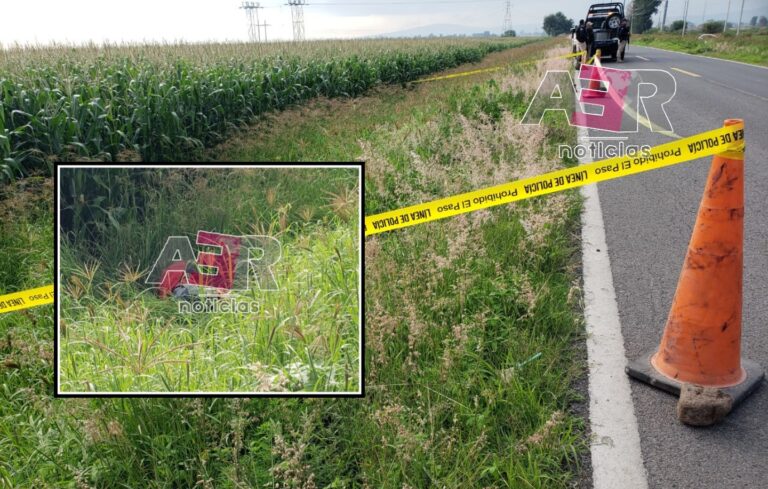 Picsart_22-08-03_13-06-30-446