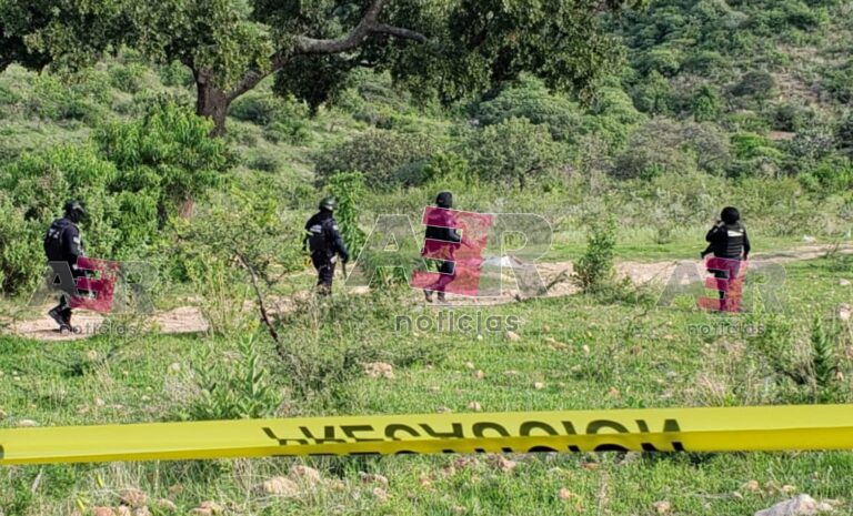 Picsart_22-08-12_10-31-19-157