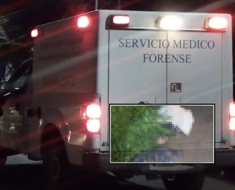 Picsart_22-08-25_09-24-11-319