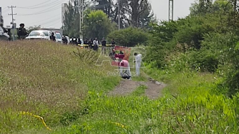 Picsart_22-08-27_18-45-54-115