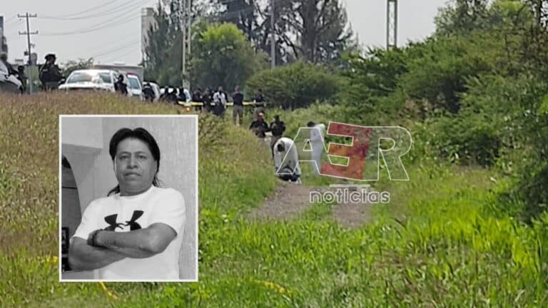 Picsart_22-08-29_17-09-13-147