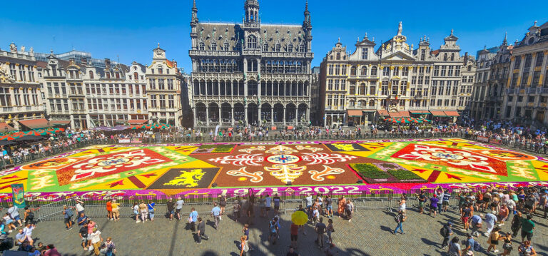 The Flower Carpet 2022 (6)