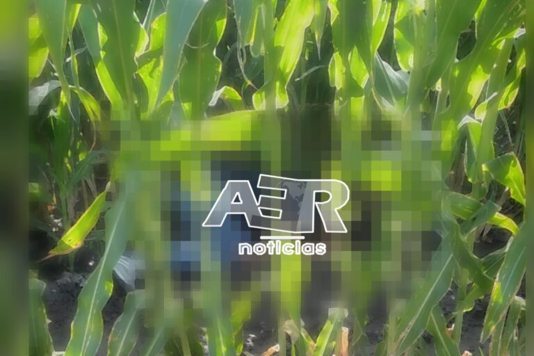 Picsart_22-09-04_13-35-47-201