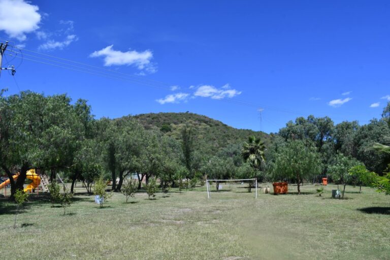 IMPULSA IRAPUATO INCREMENTO DE CORREDORES VERDES (2)