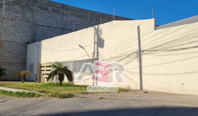 Picsart_22-10-13_10-08-56-159