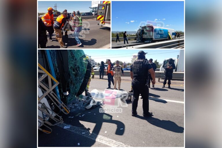 Picsart_22-10-13_13-48-01-832