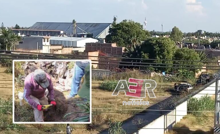 Picsart_22-11-01_21-26-56-119