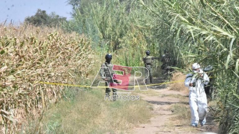 Picsart_22-11-03_18-21-57-056