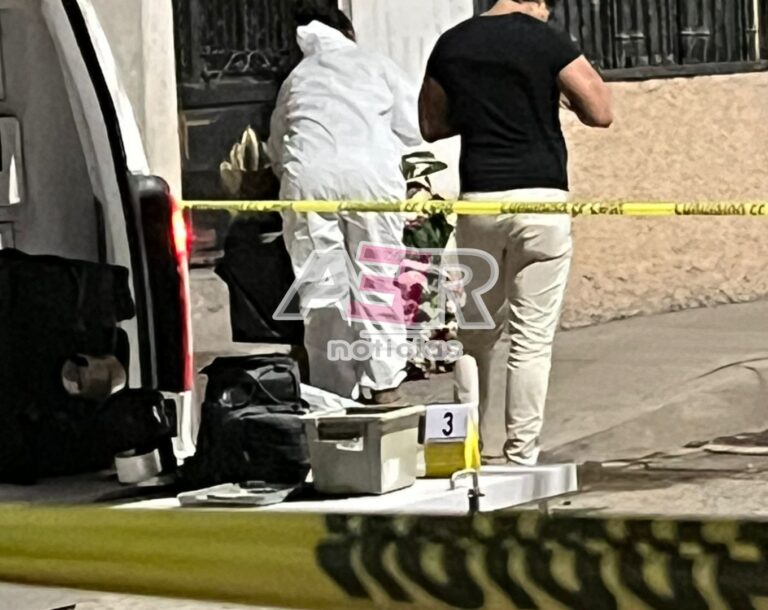 Picsart_22-11-10_00-18-06-413