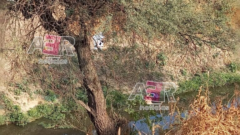 Picsart_22-11-29_17-24-36-081