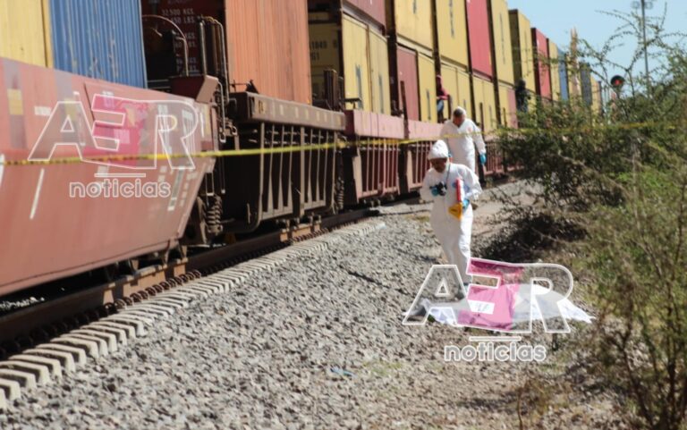 Picsart_22-12-04_17-27-12-730