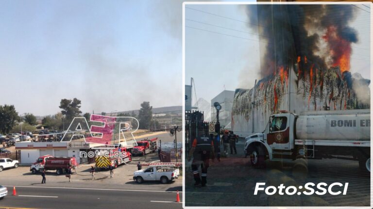 Picsart_22-12-12_13-42-15-530