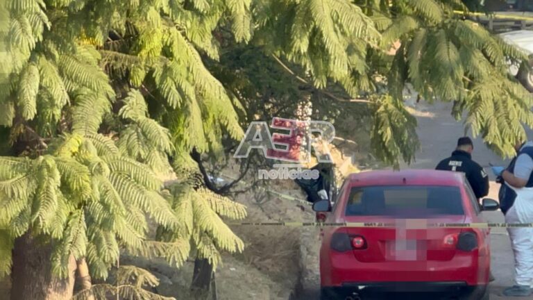 Picsart_22-12-13_09-18-52-859