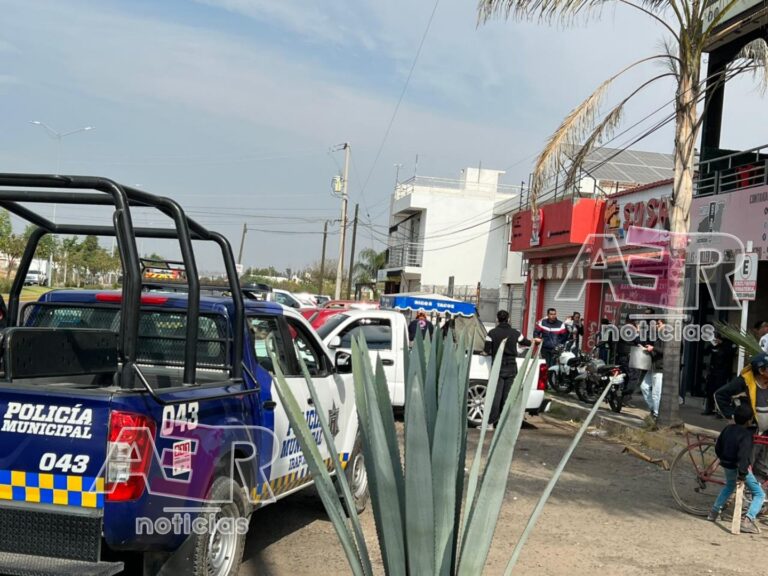 Picsart_22-12-24_13-17-46-389