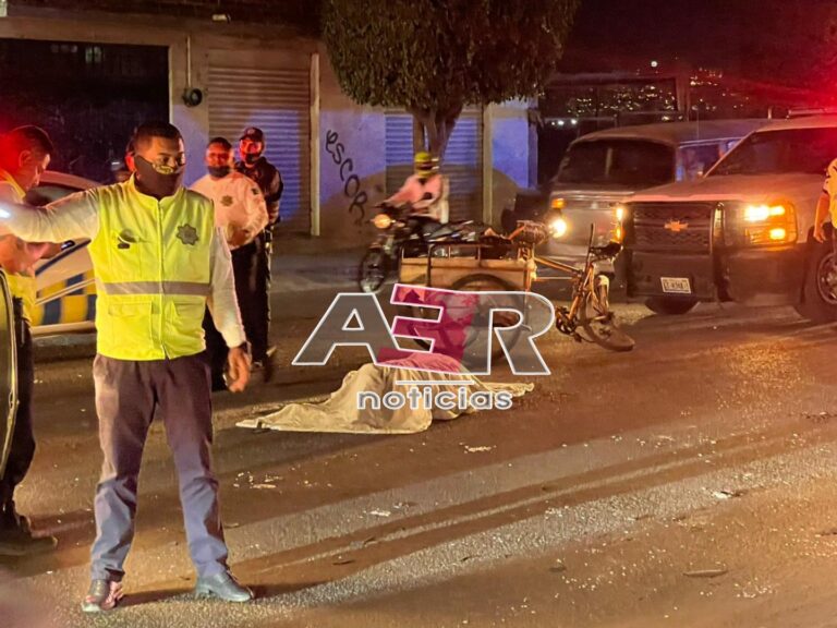 Picsart_22-12-24_20-34-49-190