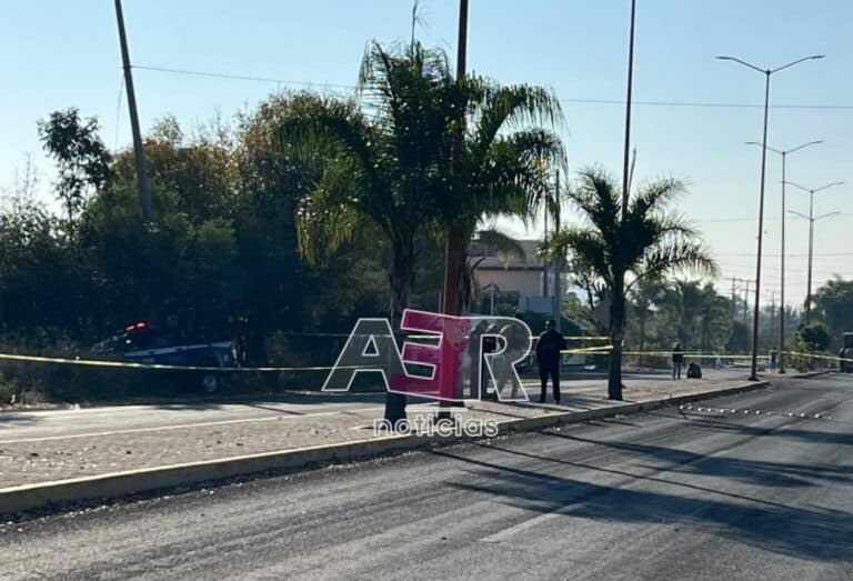 Picsart_22-12-28_09-52-06-331